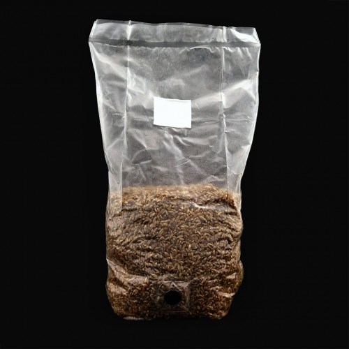 Sterilized Rye Grain Substrate Bags