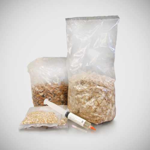 Home Growing Mushroom Spawn and Culture Kits