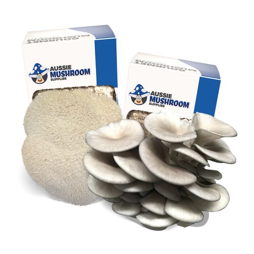 Mushroom Grow Kits - Spray And Grow